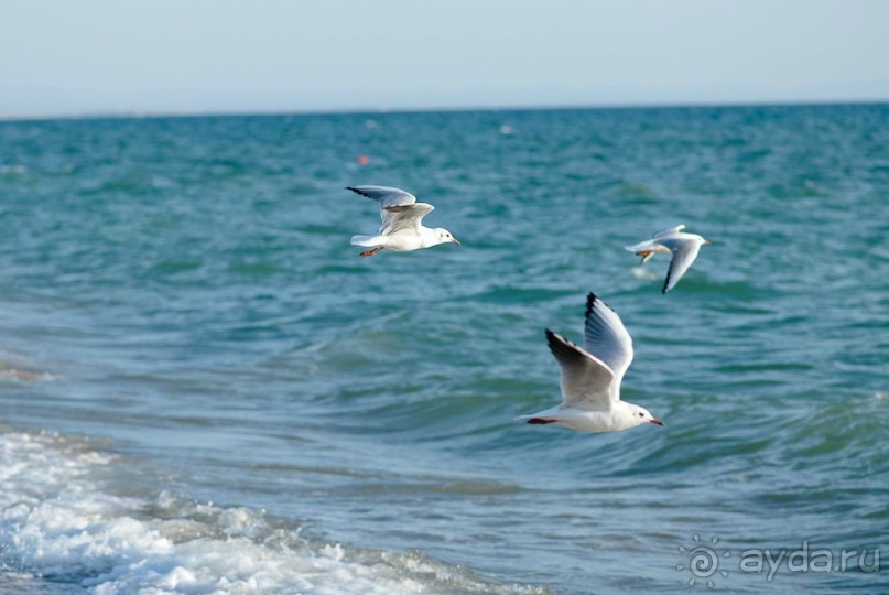 Пляжный отдых и климатолечение в санатории "Танжер"