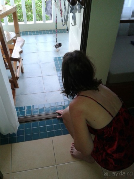 Чудесно отдохнул Чудесно отдохнул