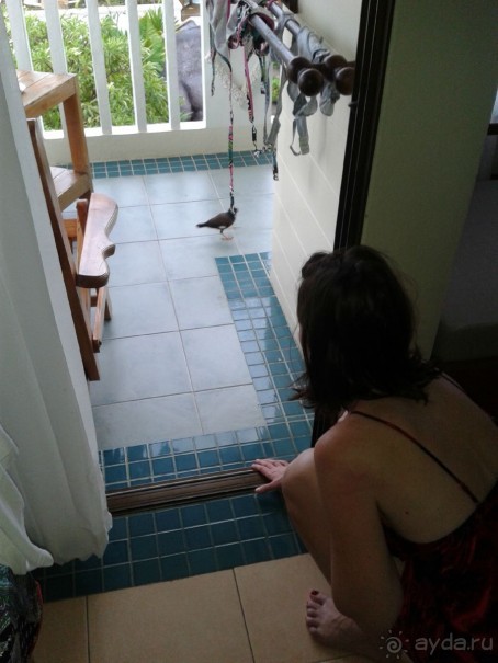 Чудесно отдохнул Чудесно отдохнул