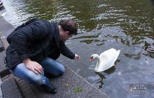 Таллин-Кёльн-Брюссель-Брюгге-Амстердам