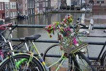 Таллин-Кёльн-Брюссель-Брюгге-Амстердам