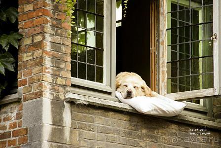 Таллин-Кёльн-Брюссель-Брюгге-Амстердам