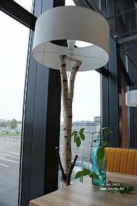 Таллин-Кёльн-Брюссель-Брюгге-Амстердам