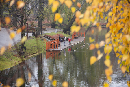 Рига - Таллин