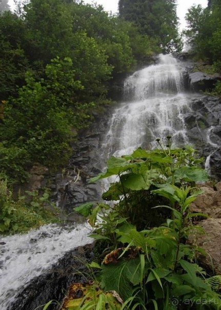 Отдых в Абхазии