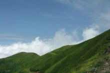 Отдых в Абхазии