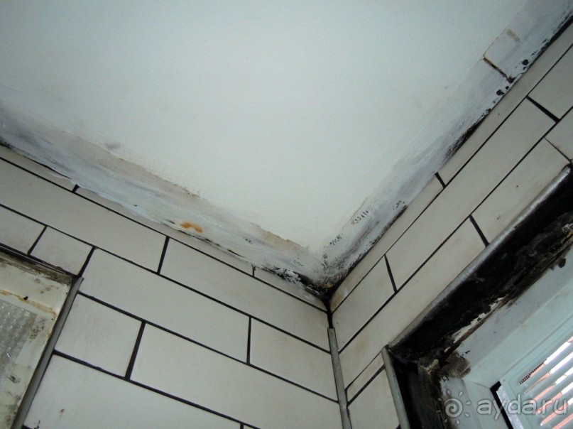 фото Bourse Hostel Galata