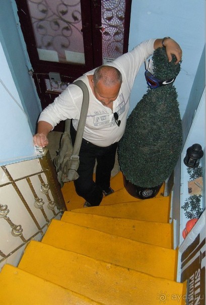 А ну-ка поднимись!