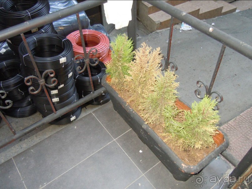 Немного цветов у входа.  Флористический дизайн.