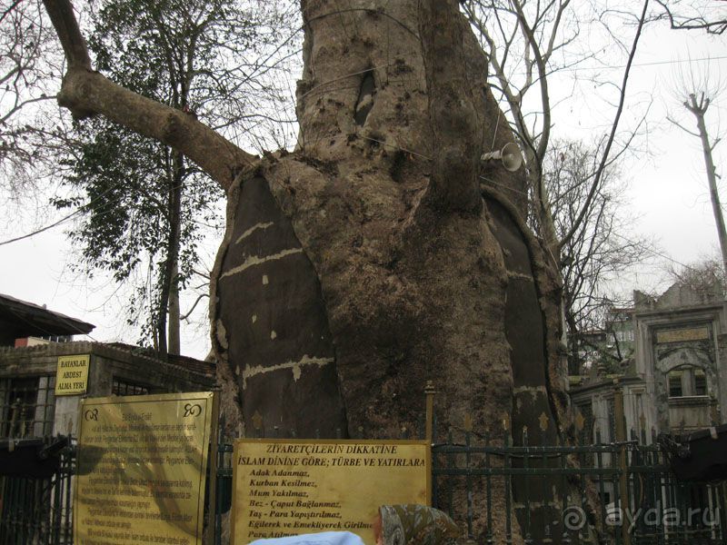 Турция. Стамбул. Тур выходного дня.