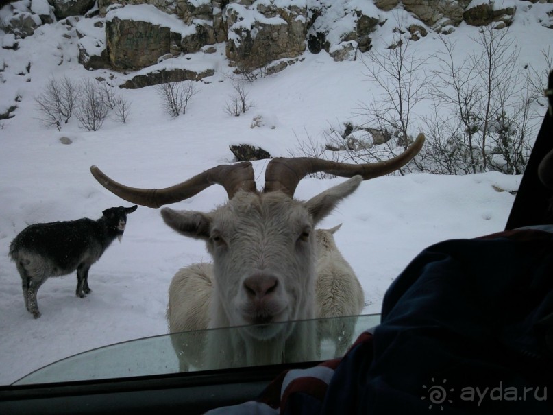 Лаго-Наки, Гуамское ущелье, Мезмай и окрестности!