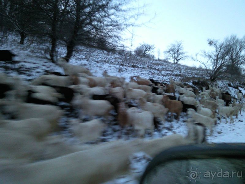 Лаго-Наки, Гуамское ущелье, Мезмай и окрестности!