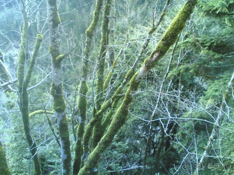 Путешествие по Абхазии на автомобиле в разное время года.