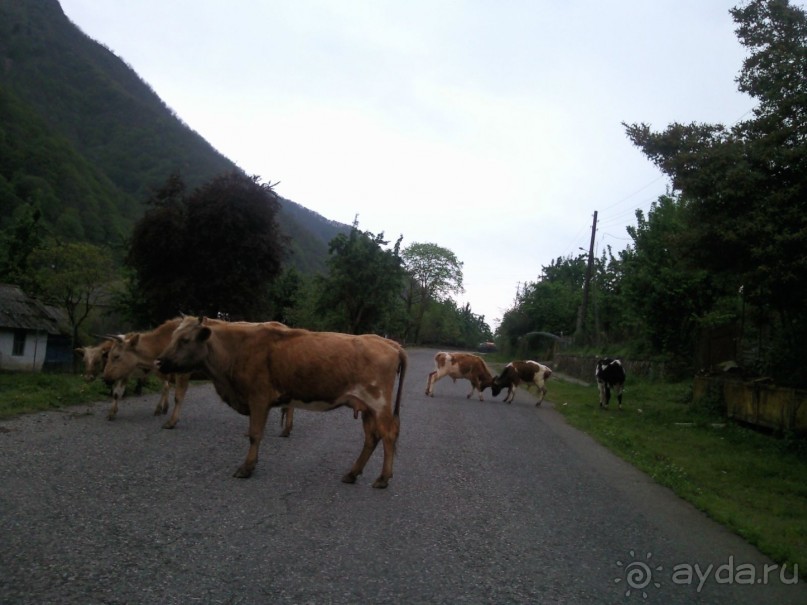 Путешествие по Абхазии на автомобиле в разное время года.