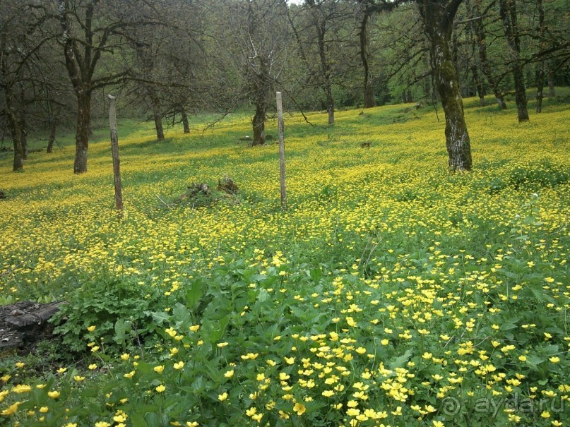 Путешествие по Абхазии на автомобиле в разное время года.