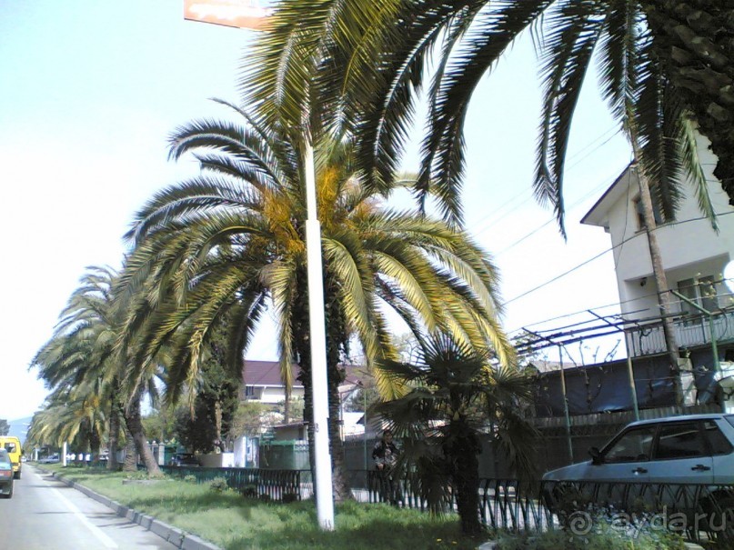 Путешествие по Абхазии на автомобиле в разное время года.