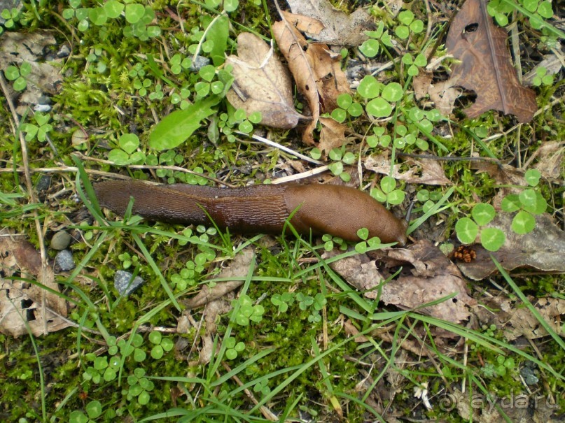 Путешествие по Абхазии на автомобиле в разное время года.