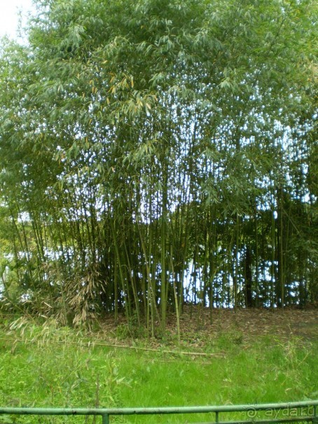 Путешествие по Абхазии на автомобиле в разное время года.