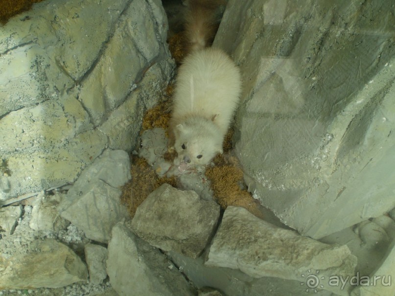 Путешествие по Абхазии на автомобиле в разное время года.