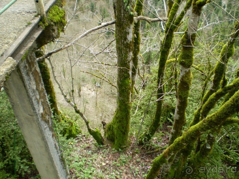 Путешествие по Абхазии на автомобиле в разное время года.