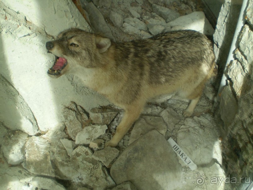 Путешествие по Абхазии на автомобиле в разное время года.