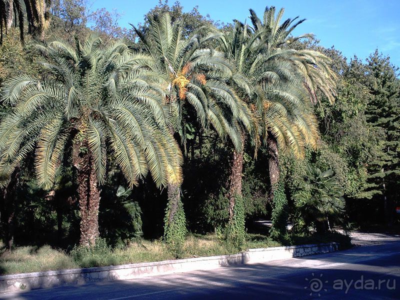 Путешествие по Абхазии на автомобиле в разное время года.