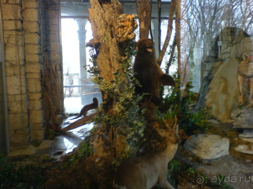 Путешествие по Абхазии на автомобиле в разное время года.