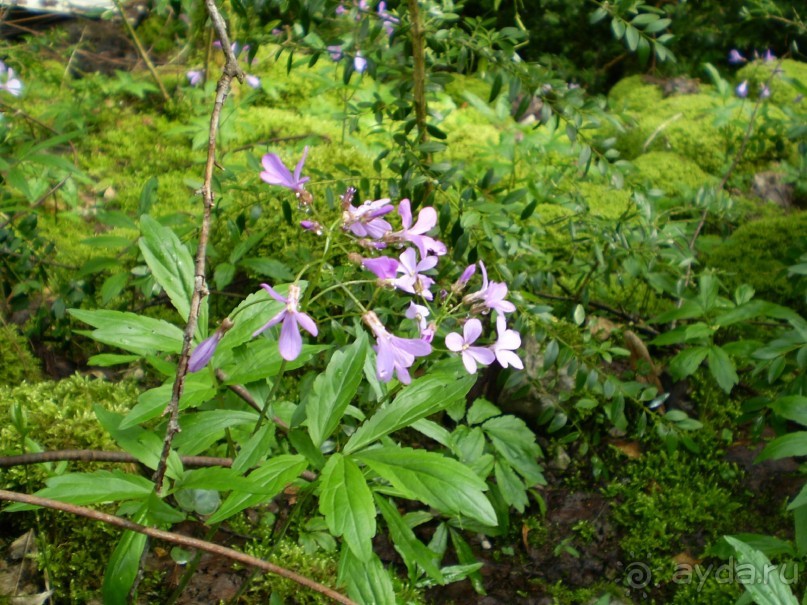 Путешествие по Абхазии на автомобиле в разное время года.