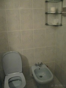 Объединенные Арабские Эмираты. Дубаи, Шарджа, Фуджейра.