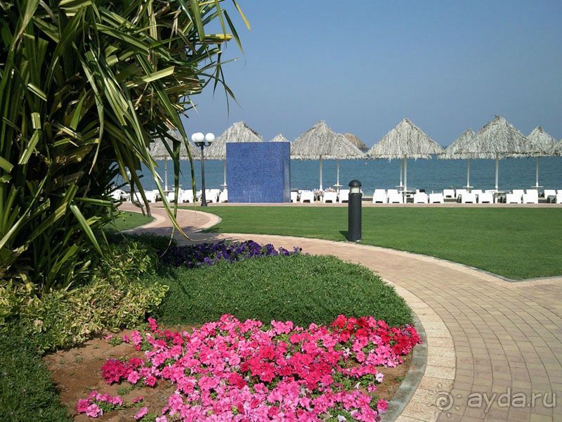 Объединенные Арабские Эмираты. Дубаи, Шарджа, Фуджейра.