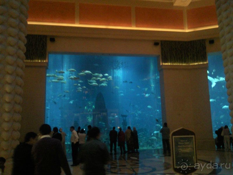 Объединенные Арабские Эмираты. Дубаи, Шарджа, Фуджейра.