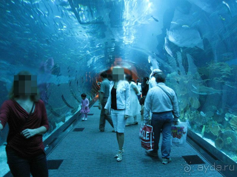 Объединенные Арабские Эмираты. Дубаи, Шарджа, Фуджейра.