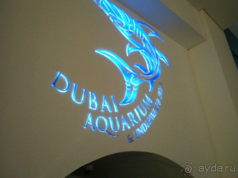 Объединенные Арабские Эмираты. Дубаи, Шарджа, Фуджейра.