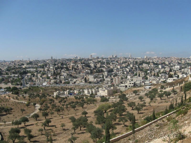 Турция. Белек. Израиль за 24 часа + Палестина.