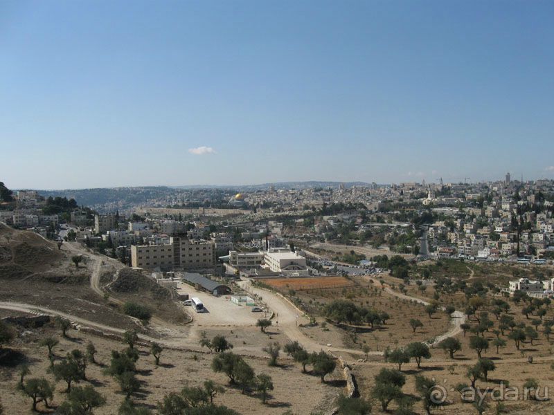 Турция. Белек. Израиль за 24 часа + Палестина.