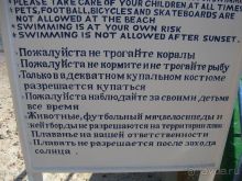 Египет. Таба. Синайский полуостров + Каир