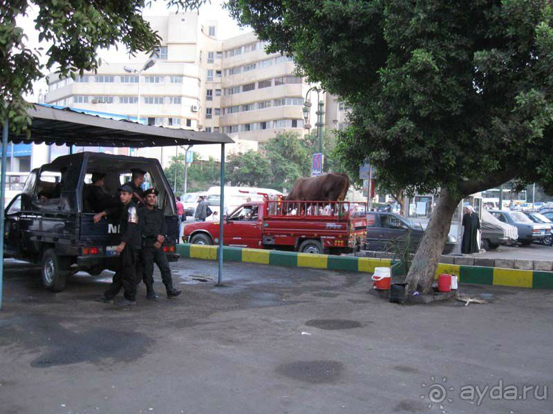 Египет. Таба. Синайский полуостров + Каир