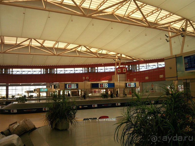 Египет. Таба. Синайский полуостров + Каир