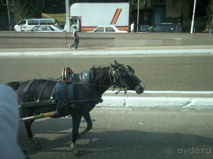 Египет. Таба. Синайский полуостров + Каир