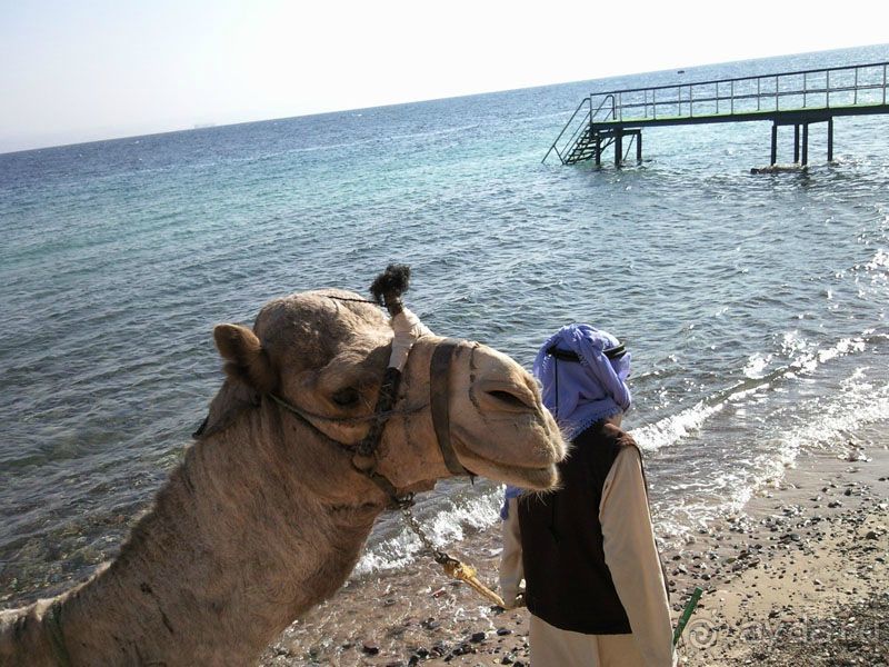 фото Peninsula Beach Resorts