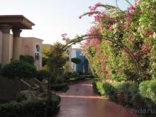 фото Royal Savoy Sharm El Sheikh