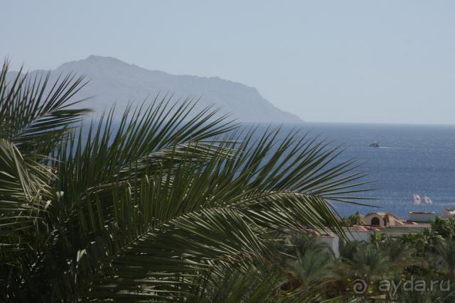 Вид из номера