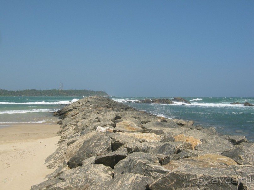 Отдых на Шри - Ланке