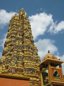 Отдых на Шри - Ланке