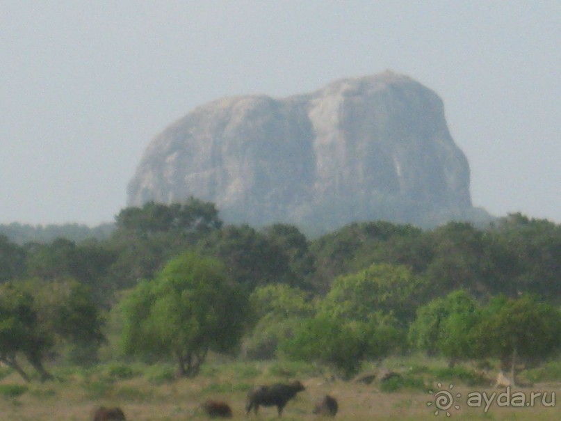 Отдых на Шри - Ланке