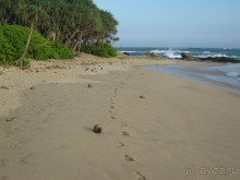 Отдых на Шри - Ланке