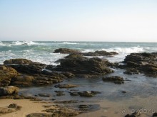 Отдых на Шри - Ланке