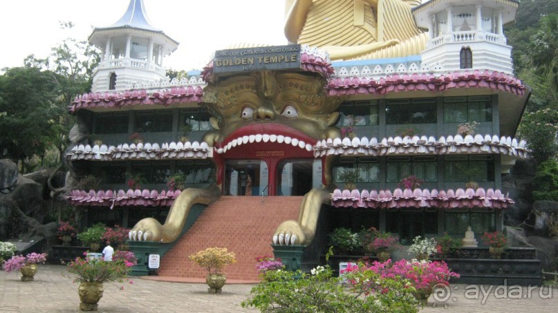 Отдых на Шри - Ланке