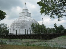 Отдых на Шри - Ланке