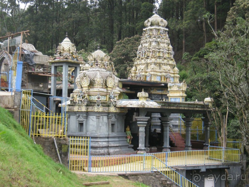 Отдых на Шри - Ланке